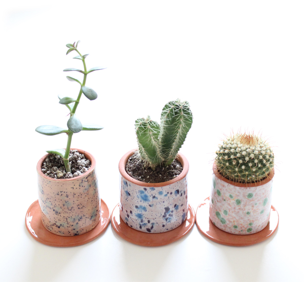 cacti-planters-pots