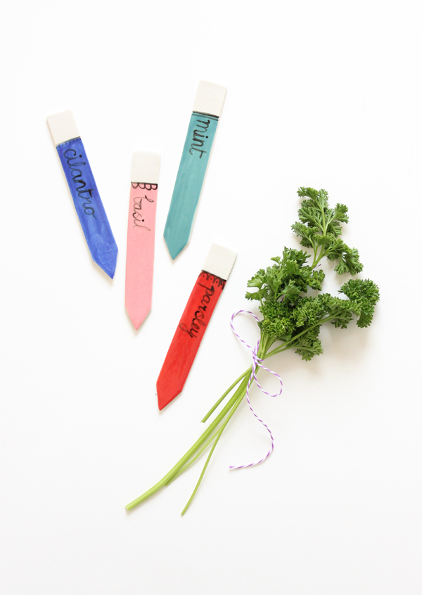 plant_markers_parsley
