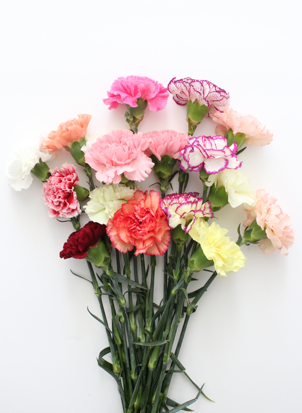carnation-bouquet